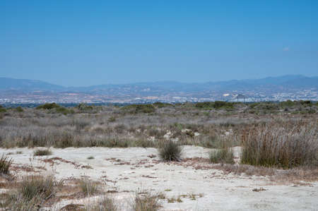Walking to Limassol salt lake, sun dried grass and view on Limassol on horizon in suny dayの写真素材