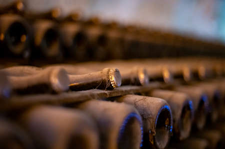 Dusty bottles on racks in deep and long undergrounds caves, making champagne sparkling wine from chardonnay and pinor noir grapes in Reims, Champagne, Franceの写真素材