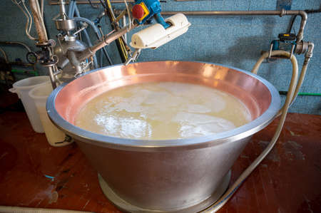 Traditional process of making from cow milk wheels of parmigiano-reggiano hard parmesan cheese on...