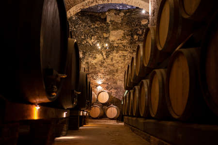 Medieval underground wine cellars with old red wine barrels for aging of vino nobile di...