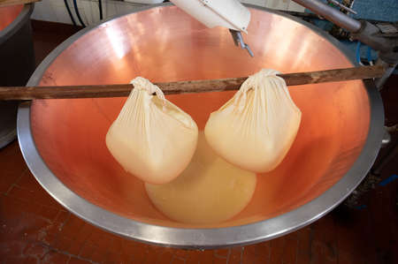 Traditional process of making from cow milk wheels of parmigiano-reggiano hard parmesan cheese on small cheese farm in Parma, Reggio-Emilia, Italy, copper-lined vats with curdの写真素材