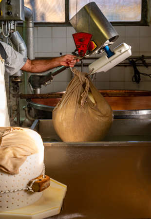 Traditional process of making from cow milk wheels of parmigiano-reggiano parmesan cheese on small cheese farm in Parma, Reggio-Emilia, Italyの写真素材