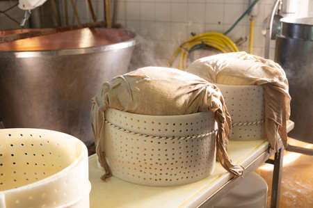 Traditional process of making from cow milk wheels of parmigiano-reggiano parmesan cheese on small cheese farm in Parma, Reggio-Emilia, Italyの写真素材