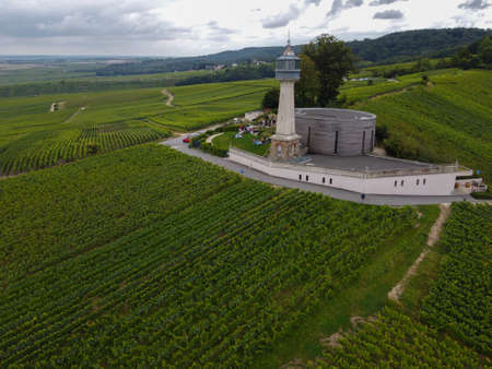 View on lighthouse and green pinot noir grand cru vineyards of famous champagne houses in Montagne de Reims near Verzenay, Champagne, wine making in Franceの写真素材