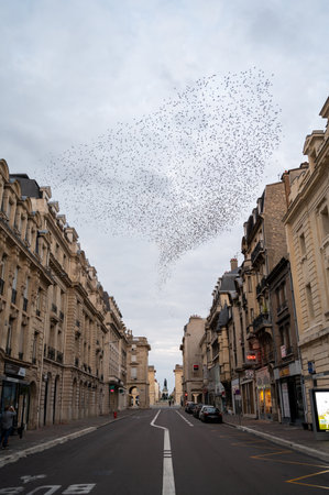 Walking on streets in central part of old French city Reims with famous champagne houses, France in sunny dayのeditorial素材