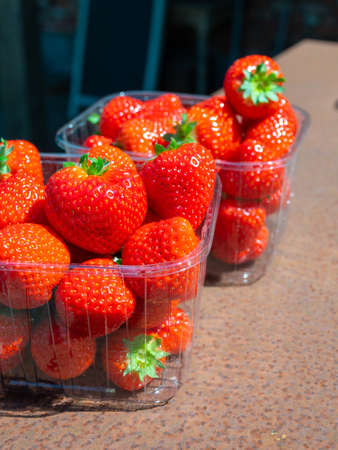 Red ripe Dutch organic sweet strawberry, new harvest, ready to eatの写真素材