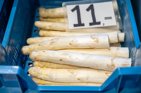 First Dutch white washed asparagus for sale on farm in North Brabantの写真素材
