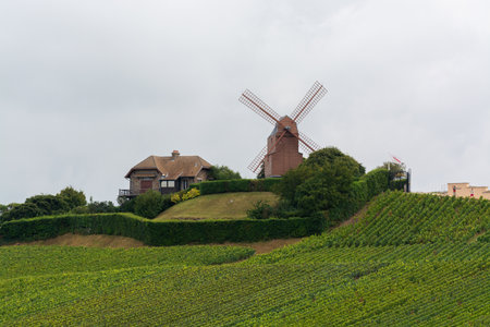 View on Moulin de Verzenay and green pinot noir grand cru vineyards of famous champagne houses in Montagne de Reims near Verzenay, Champagne, wine making in Franceのeditorial素材