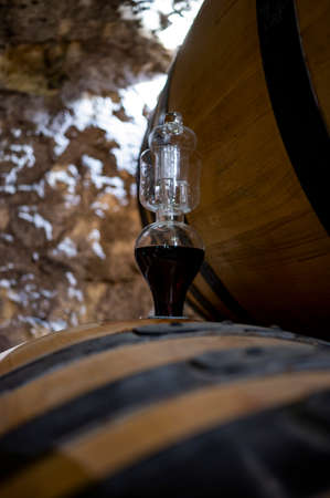 Medieval underground wine cellars with old red wine barrels for aging of vino nobile di...