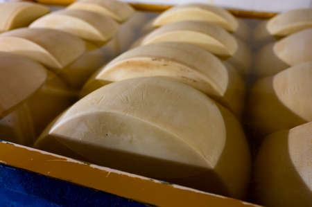 Process of making parmigiano-reggiano parmesan hard cheese on small cheese farm in Parma, Italy, wheels brining in brine bath to absorb salt for 20â25 daysの写真素材