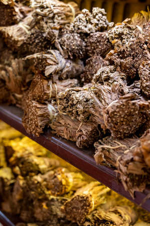 Hand made production of high quality cigars from dried tobacco leaves, Garachico, Tenerife, Canary islands, Spainの写真素材