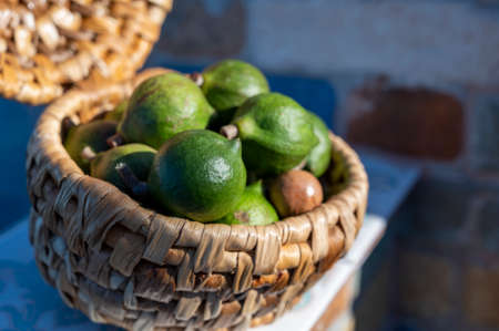 New harvest of tasty australian fresh ripe macadamia nuts in green shellの写真素材