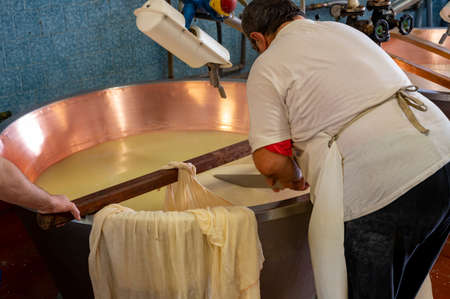 Traditional process of making from cow milk wheels of parmigiano-reggiano hard parmesan cheese on...