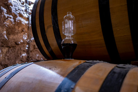 Medieval underground wine cellars with old red wine barrels for aging of vino nobile di...