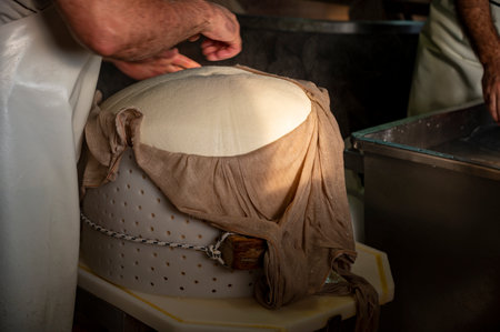 Traditional process of making from cow milk wheels of parmigiano-reggiano parmesan cheese on small...