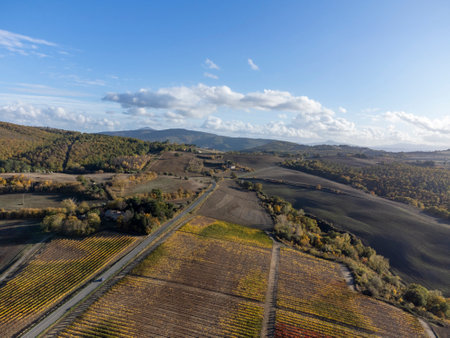 Aerial panoramic view on hills of Val d'Orcia near Pienza, Tuscany, Italy. Tuscan landscape with cypress trees, vineyards, forests and ploughed fields in cloudy autumn.の写真素材