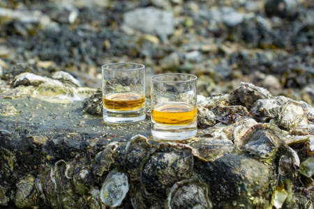 Tasting of single malt or blended Scotch whiskey and seabed at low tide with algae, stones and...