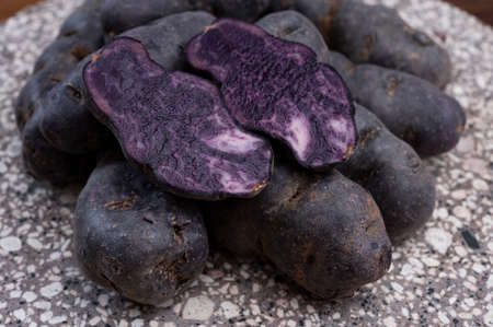 Colorful belgian purple or black truffle potato root vegetable ready to cookの写真素材