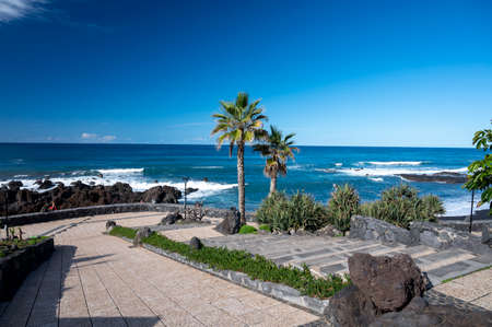 View on colorful Playa Jardin, palm trees and black lava rocks in Puerto de la Cruz, Tenerife,...