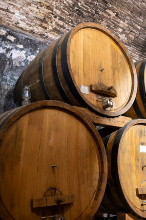 Medieval underground wine cellars with old red wine barrels for aging of vino nobile di Montepulciano in old town on hill Montepulciano in Tuscany, Italyの写真素材