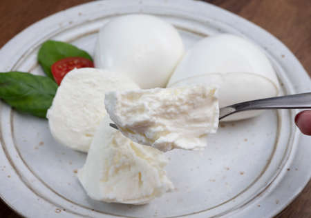 Tasing of fresh italian cheese mozzarella di buffalo close upの写真素材