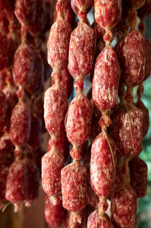 Variety of homemade dried salami sausages hanging in butchery shop in Parma, emilia Romagna, Italy, meat food backgroundの写真素材