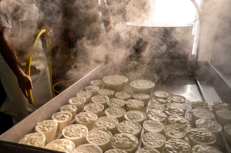 Process of making fresh white soft ricotta whey cheese early morning on small cheese farm in Parma, Italyの写真素材