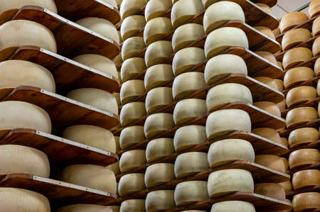 Process of making parmigiano-reggiano parmesan hard cheese on small cheese farm in Parma, Italy,...