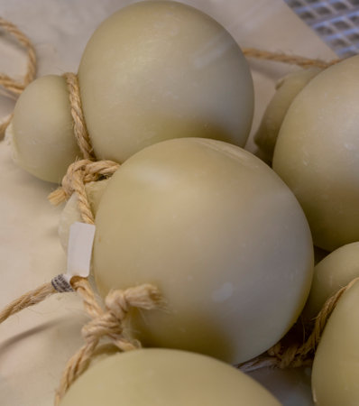 Cheese collection, Scamorza hard South Italian cow's milk cheese close upの写真素材