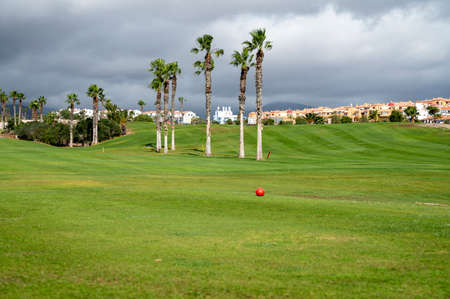 Green lawn grass on year-round outdoor golf course located near yacht harbor on Tenerife, Canary islands, Spain in winterの写真素材