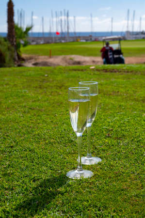 Celebration of championship with glasses of champagne bubbles wine on green lawn of golf club on Tenerife, Canary islands, Spainの写真素材