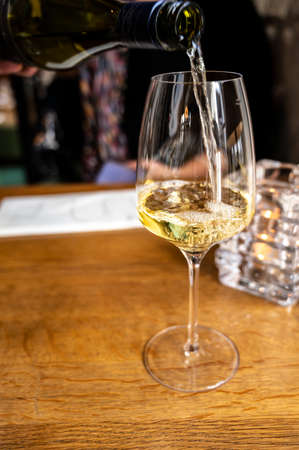 Glass of Chilean Chardonnay Viognier white wine served in restaurant close upの写真素材