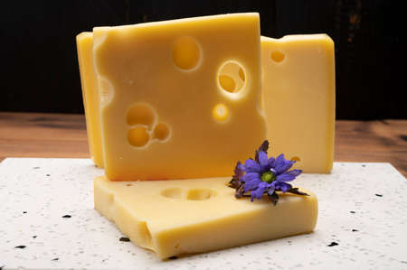 Swiss cheese collection, yellow emmentaler or emmental cheese with round holes