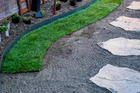 Making of natural green lawn in garden with rolls of green grass, garden renovation works in springの写真素材