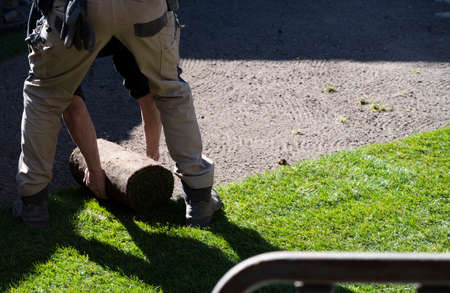 Making of natural green lawn in garden with rolls of green grass, garden renovation works in springの写真素材