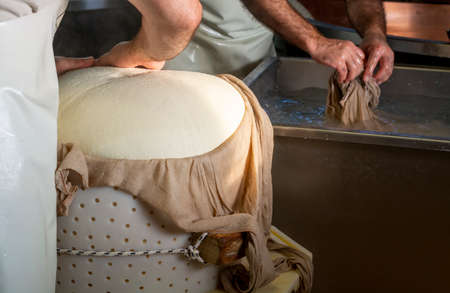 Traditional process of making from cow milk wheels of parmigiano-reggiano parmesan cheese on small...