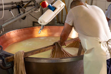 Traditional process of making from cow milk wheels of parmigiano-reggiano parmesan cheese on small...