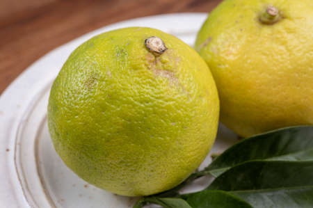 Fresh ripe bergamot citrus fruit used for aromatherapy, parfumerie and for earl-grey tea, close up