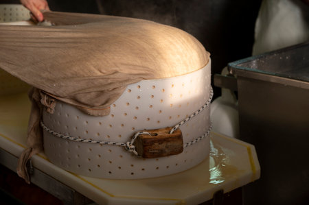 Traditional process of making from cow milk wheels of parmigiano-reggiano parmesan cheese on small...