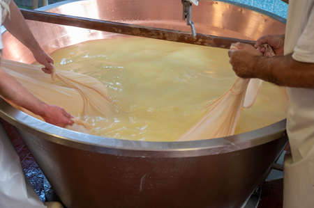 Traditional process of making from cow milk wheels of parmigiano-reggiano hard parmesan cheese on small cheese farm in Parma, Reggio-Emilia, Italyの写真素材