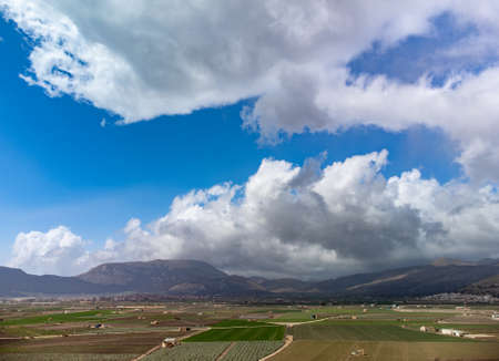 Farm fields with rows of green lettuce salad. Aerial view on agricultural valley near town Zafarraya with fertile soils for growing of vegetables, green lettuce salad, cabbage, artichokes, Andalusia, Spainの写真素材