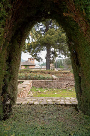 Mediterranean garden design with arches made from trimmed thuja coniferus trees