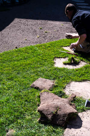 Making of natural green lawn in garden with rolls of green grass, garden renovation works in springの写真素材
