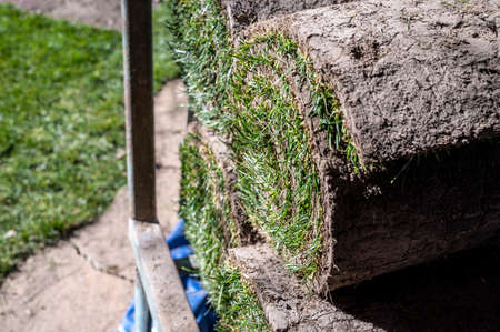 Making of natural green lawn in garden with rolls of green grass, garden renovation works in springの写真素材