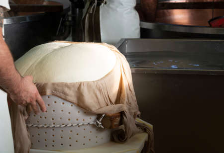 Traditional process of making from cow milk wheels of parmigiano-reggiano parmesan cheese on small...