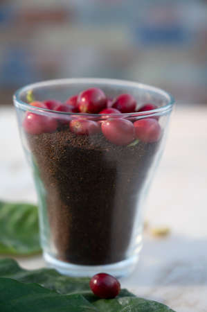 Red ripe arabica coffee berries, green coffee beans, leaves and roasted ground coffee in glass close up on marble tableの写真素材