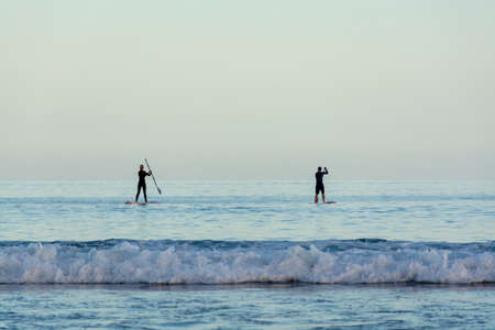 Silhouettes of people on paddle surf boards in Antlantic ocean on Tenerife island at blue sunsetの写真素材