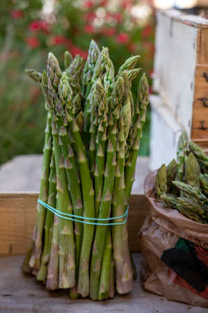 Fresh raw green asparagus vegetables for sale in french Provencal farmers market in april, Cassis, Franceの写真素材