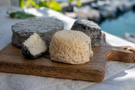 French goat cheeses crottin and selles-sur-cher served with view on boats in harbor of Cassis, Provence, France, cheese tastingの写真素材