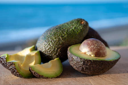 Cultivation of hass avocado fruits in Europe, new harvest of avocado in Malaga region, Andalusia,...